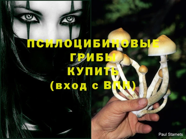бутират Михайлов