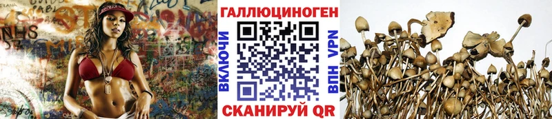 Галлюциногенные грибы MAGIC MUSHROOMS  что такое наркотик  omg как войти  Благодарный 