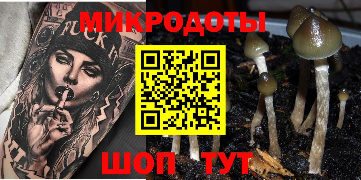 Галлюциногенные грибы Magic Shrooms  Вход с VPN  Псилоцибиновые грибы ЛСД  Благодарный 
