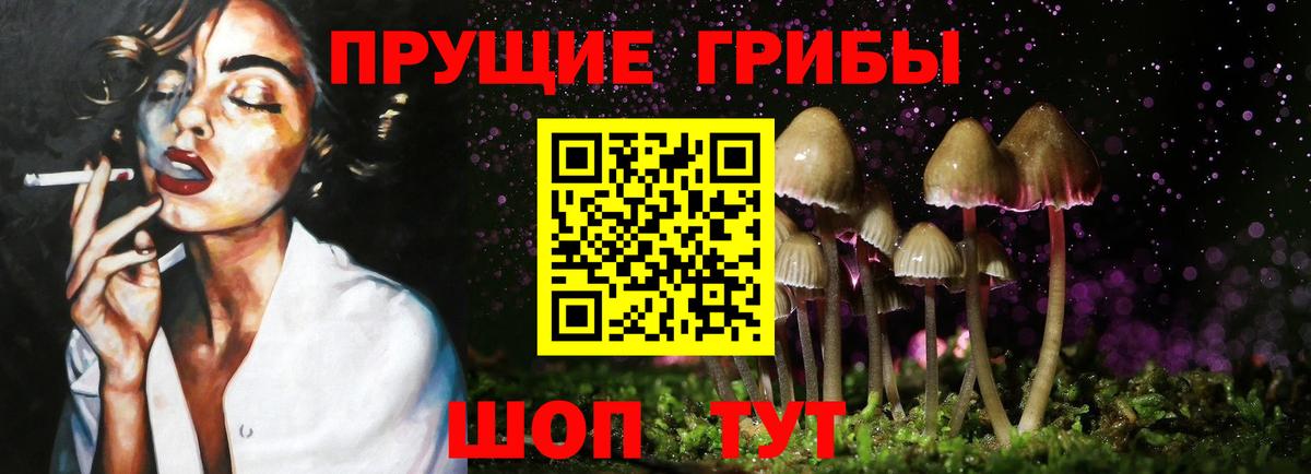 Псилоцибиновые грибы Psilocybe Благодарный
